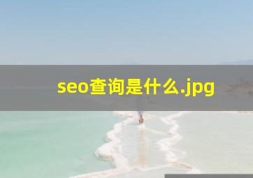 seo查询是什么