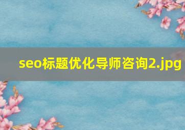 seo标题优化导师咨询