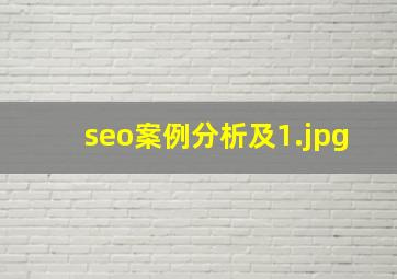 seo案例分析及