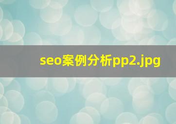 seo案例分析pp