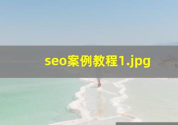 seo案例教程