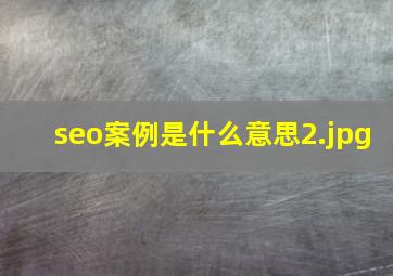 seo案例是什么意思