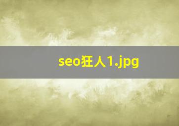 seo狂人