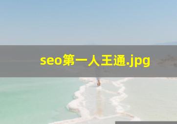 seo第一人王通