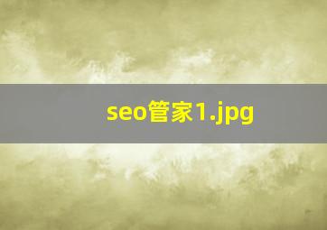 seo管家