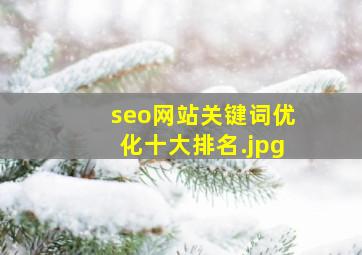 seo网站关键词优化十大排名