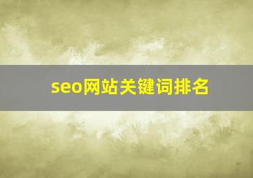 seo网站关键词排名