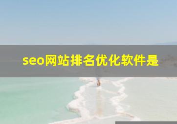 seo网站排名优化软件是