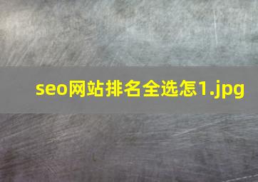 seo网站排名全选怎