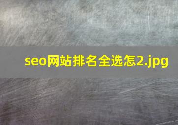 seo网站排名全选怎