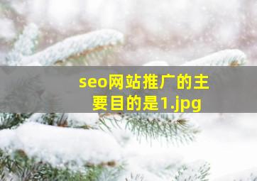 seo网站推广的主要目的是