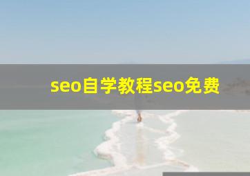 seo自学教程seo免费