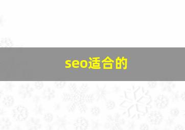 seo适合的
