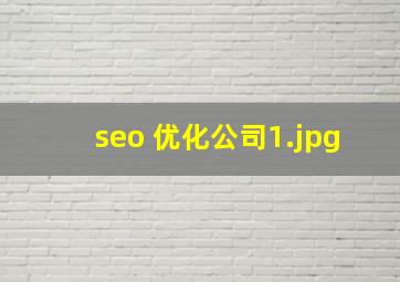 seo 优化公司