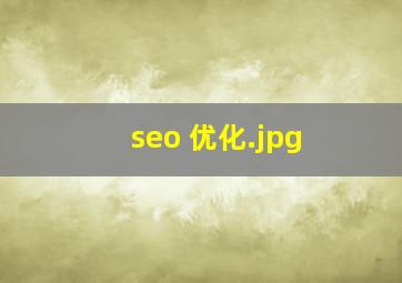 seo 优化