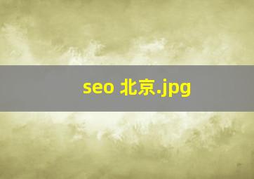 seo 北京