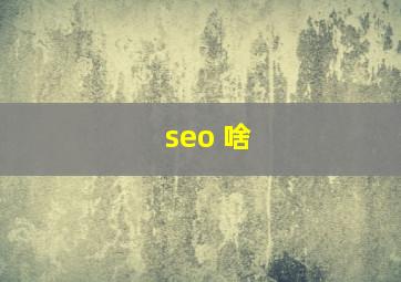 seo 啥