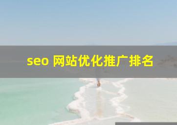 seo 网站优化推广排名