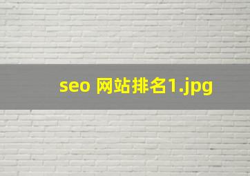 seo 网站排名