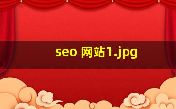 seo 网站
