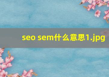 seo sem什么意思