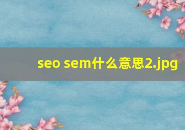 seo sem什么意思