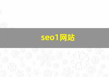 seo1网站