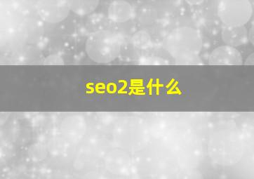 seo2是什么