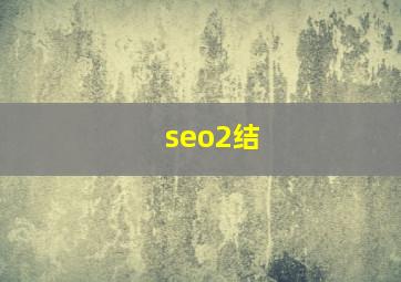 seo2结