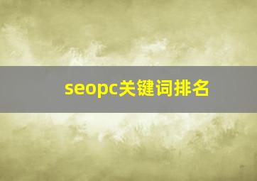 seopc关键词排名