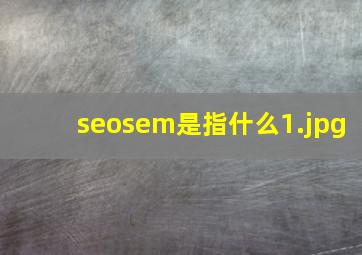 seosem是指什么