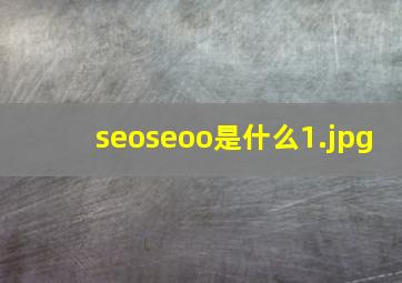 seoseoo是什么