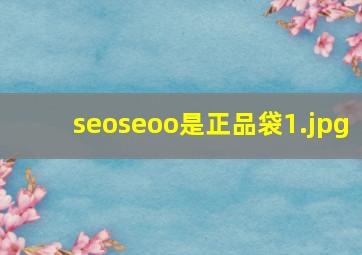 seoseoo是正品袋