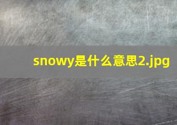 snowy是什么意思