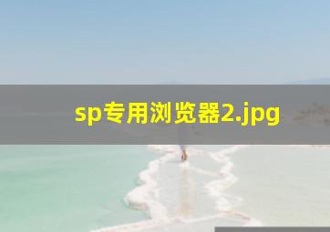 sp专用浏览器