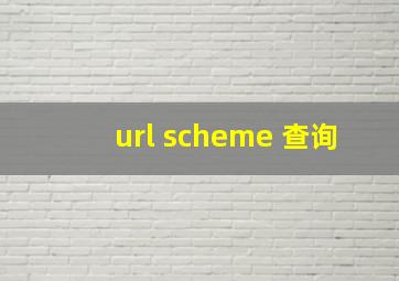 url scheme 查询