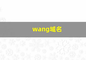 wang域名