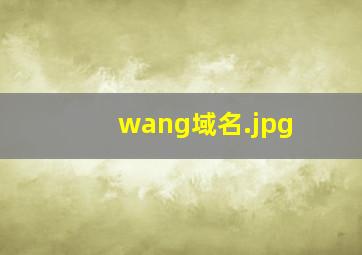 wang域名