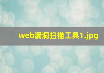 web漏洞扫描工具
