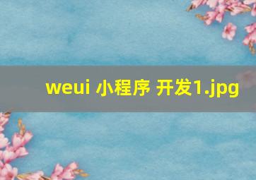 weui 小程序 开发