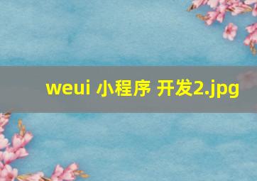 weui 小程序 开发