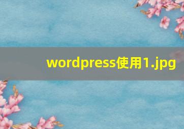 wordpress使用