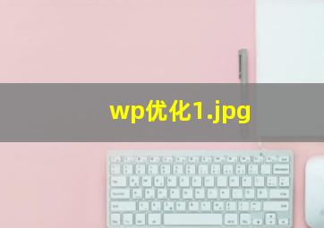 wp优化