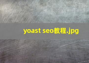 yoast seo教程