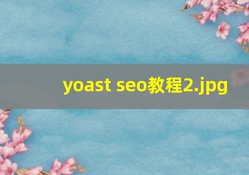 yoast seo教程